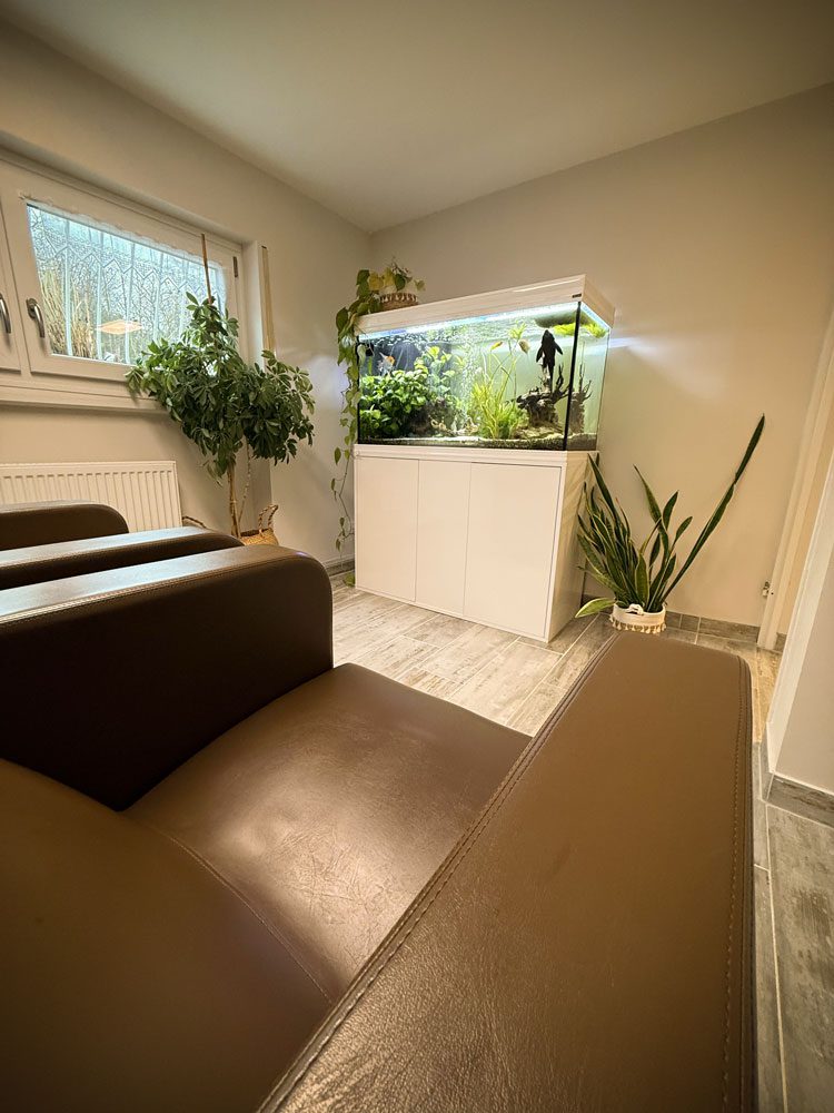 Salon Corina York Doerfler 3